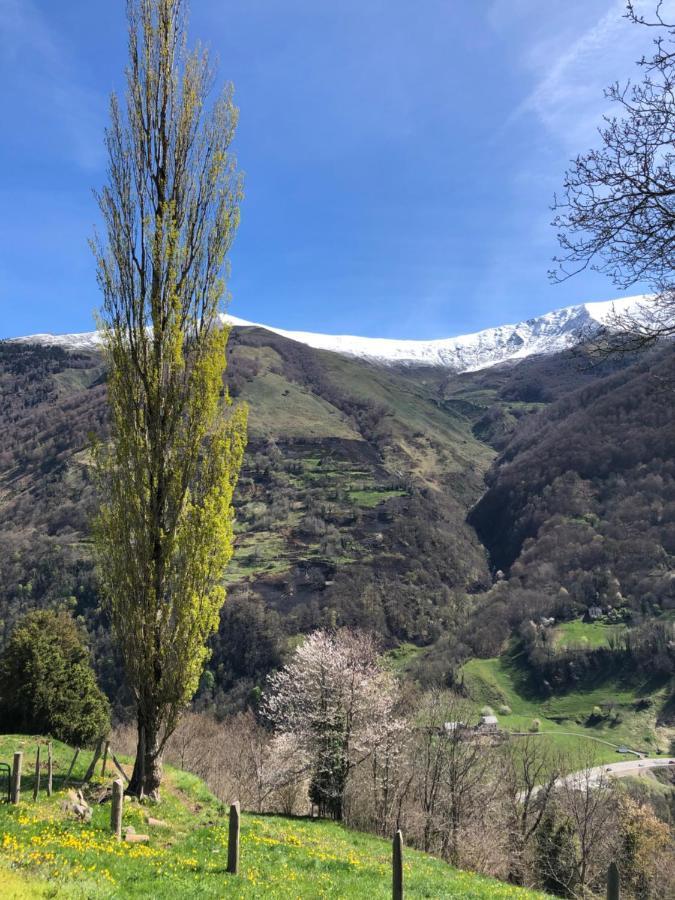 Maison De Montagne Borce Eksteriør billede